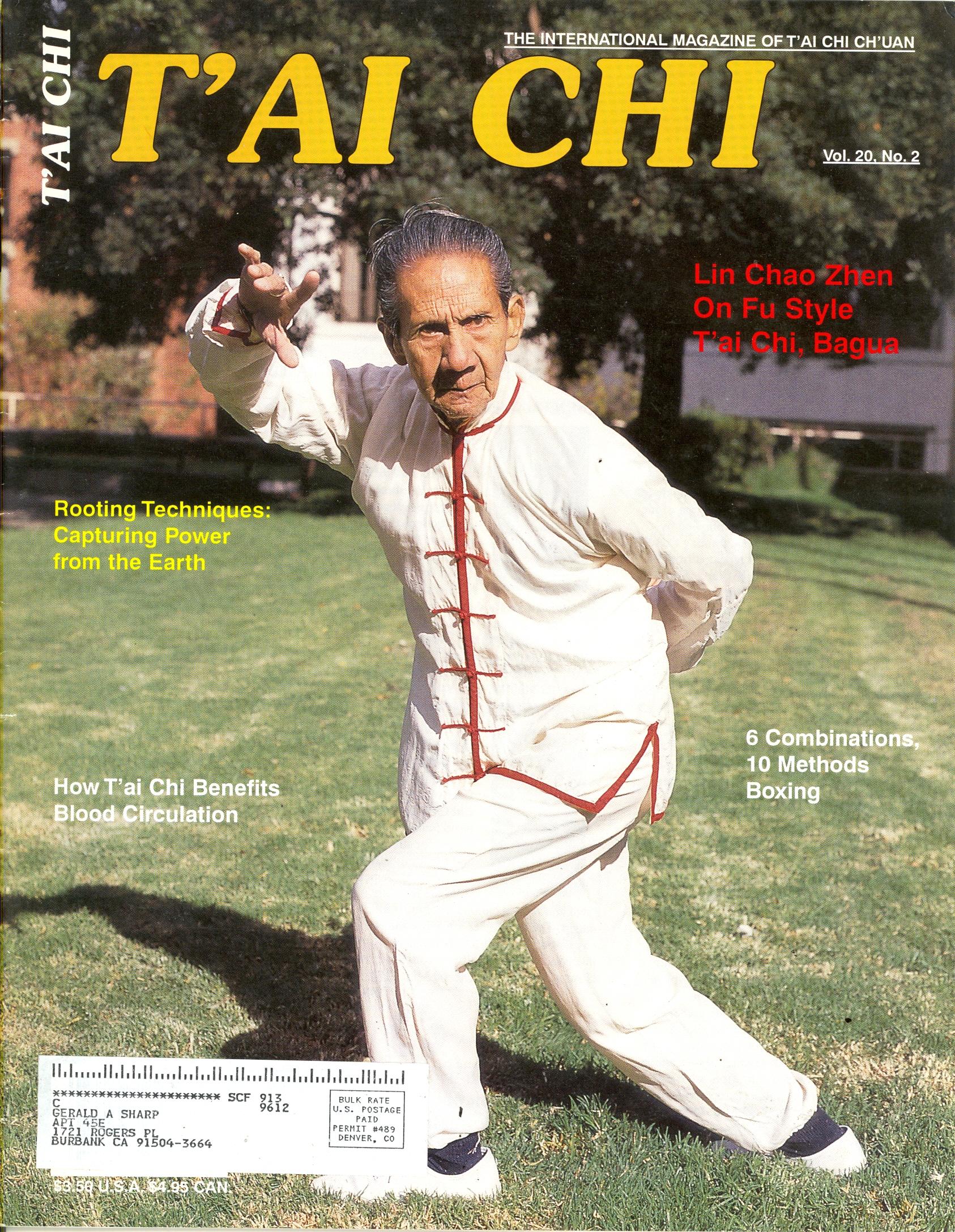 04/96 Tai Chi